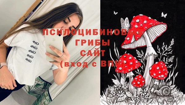 ешки Липки