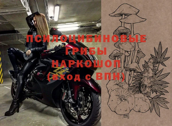 ешки Липки