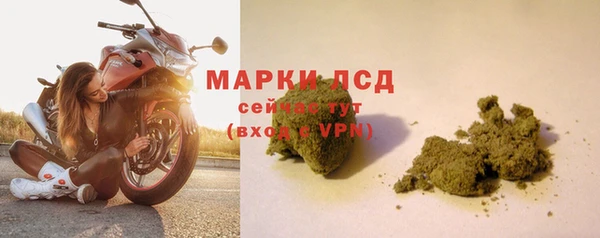 spice Ладушкин
